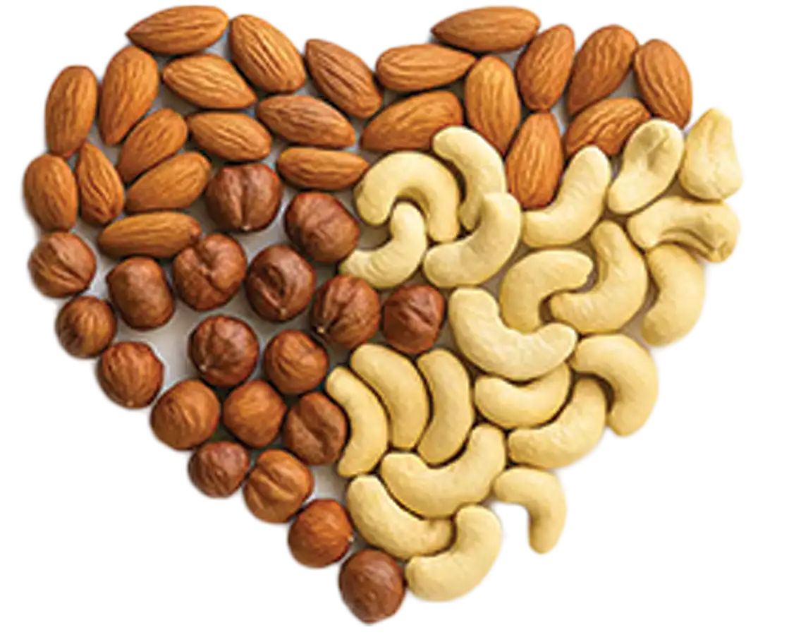 خشکبار